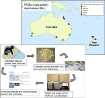 International Pellet Watch is still going on and active